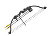 Poe Lang - Compound Bow Druid - 20 lb - 33" - černý - CO-009