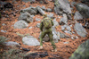 Direct Action - Batoh Ghost Mkii Backpack® - Ranger Green - BP-GHST-CD5-RGR