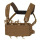 Coyote Brown