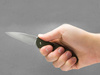 Kershaw - Zavírací nůž Leek - 1660OL