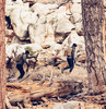 Helikon - Taktická brašna Foxhole - Shadow Grey - TB-FOH-NL-35