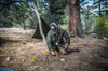 Helikon - Košile Woodsman - černá - KO-WDN-DC-01