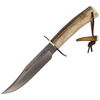 Muela - Lovecký nůž Jelen 160 mm - GRED-16