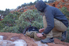 Helikon - Bunda Windrunner - Coyote Brown - KU-WDR-NL-11