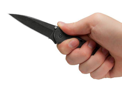 Kershaw - Zavírací nůž Leek -1660BLK