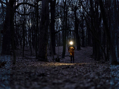 Fenix - LED čelovka - 240 lumenů - AA - černá - HM23