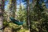 Ticket To The Moon - Houpací síť Pro s moskytiérou - Forest Green - TMPRO51