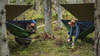 Lesovik - Turistická houpací síť DRAKA s moskytiérou a závěsem SNEKA - Treetop Green