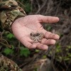 M-Tac - Laserová nášivka Polish Eagle - Cordura 500D - Multicam - 51008008