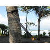 Ticket To The Moon - Moon Strap Hammock Suspension - 2 ks
