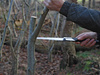 Silky - Skládací pila na dřevo - Gomboy 240-10 - KSI522124
