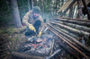 Helikon - Anorak Woodsman® Jacket - Coyote / Ash Grey - KU-WDN-DC-1185A