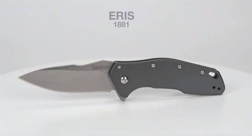 Kershaw - Zavírací nůž Eris - šedý - 1881