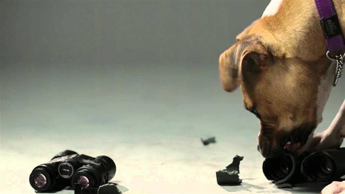 Vortex Optics - Vojenský dalekohled Razor UHD 8x42 - RZB-3101